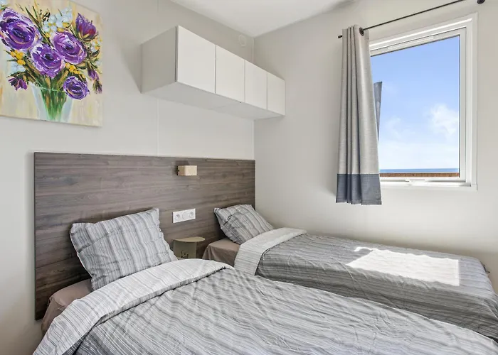 Holiday park Avec Terrasse Vue 4*